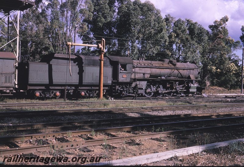 T04573
V class 1222 steam locomotive with a Z class brakevan, water column with the extended column.at Koojedda, ER line, end and side view
