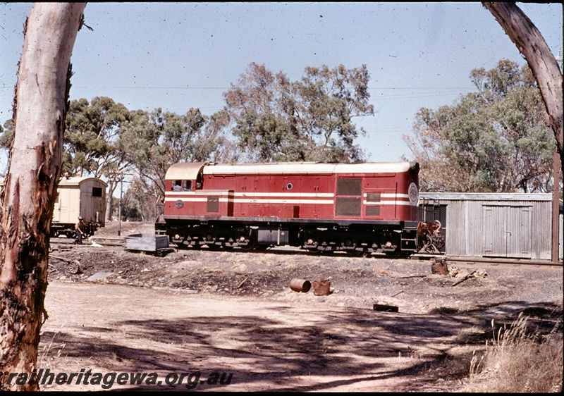 T04586
An unidentified MRWA F class diesel locomotive, gangers shed,  Moora. MR Line, side view.
