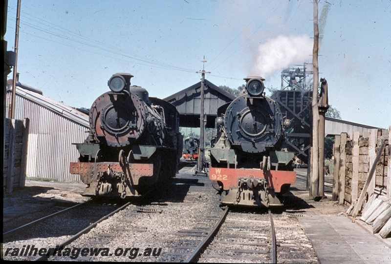 T04592
W class 924, W class 922, loco shed, water column, loco depot, Bridgetown, PP line, front on view of the locos. 
