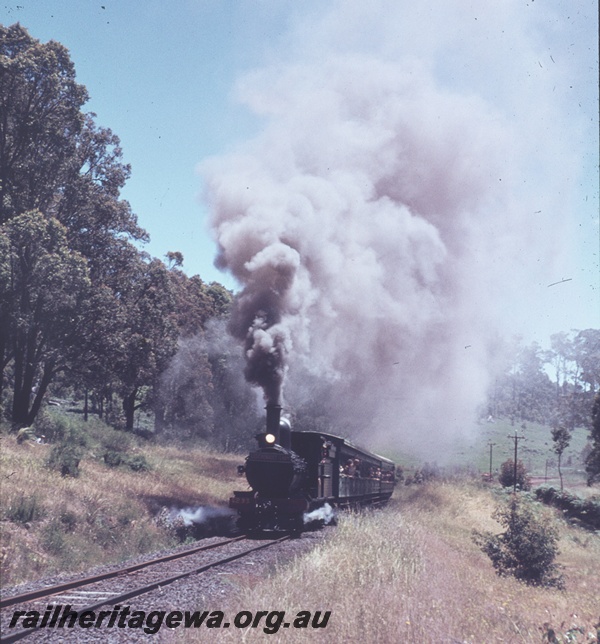 T04593
G class 233 steam locomotive with the Vintage train in the South West.
