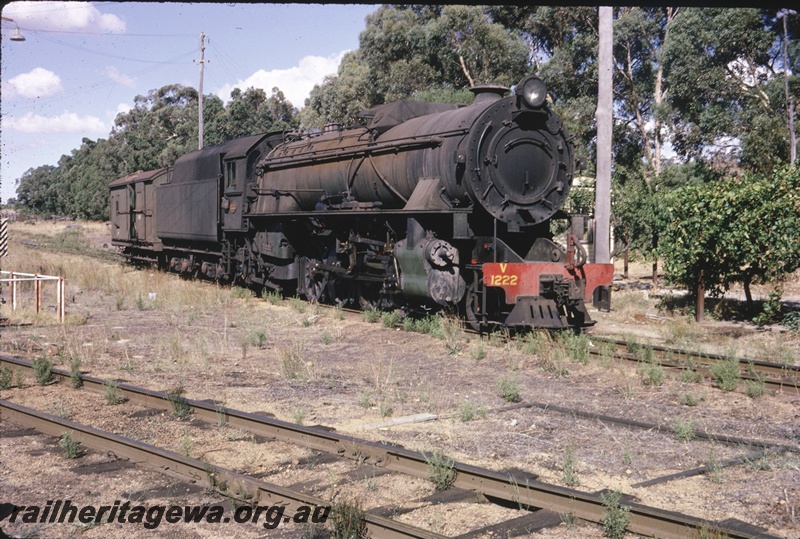 T04620
V class 1222 steam locomotive and an unidentified Z class brakevan, Koojedda, ER line, side and font view.
