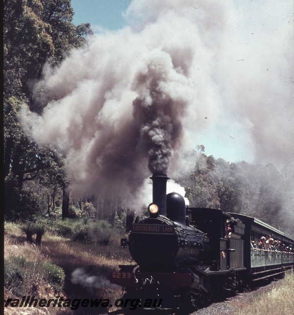 T04713
G class 233 steam locomotive with the Vintage train in the South West.
