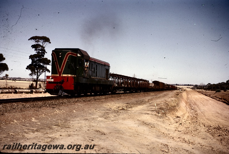 T04880
A class 1505 on No 99 goods train, passing alongside shallow standard gauge cutting, between Tammin and Bungulla, EGR line
