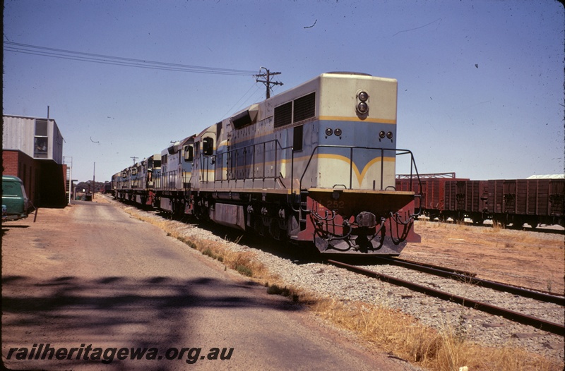 T04884
L class 252, and six other L class locos, building, wagons, Merredin, EGR line, side and end view
