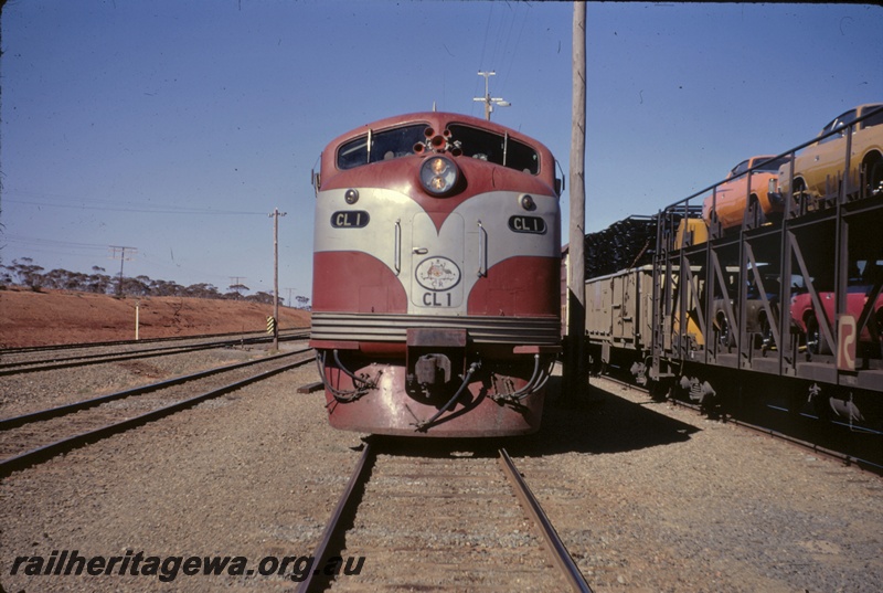 T04892
Commonwealth Railways (CR) CL class 1, car carrier wagon, front on view
