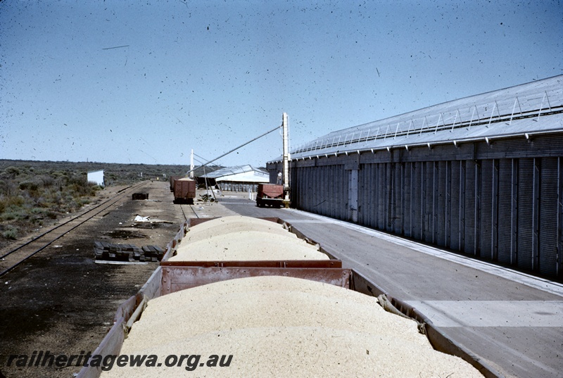 T04902
Wheat wagons, being loaded from truck, driver, wheat bins, Bonnie Rock, KBR line
