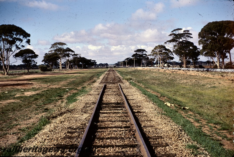 T04911
End of the track, water pipeline, near Nangeenan, EGR line
