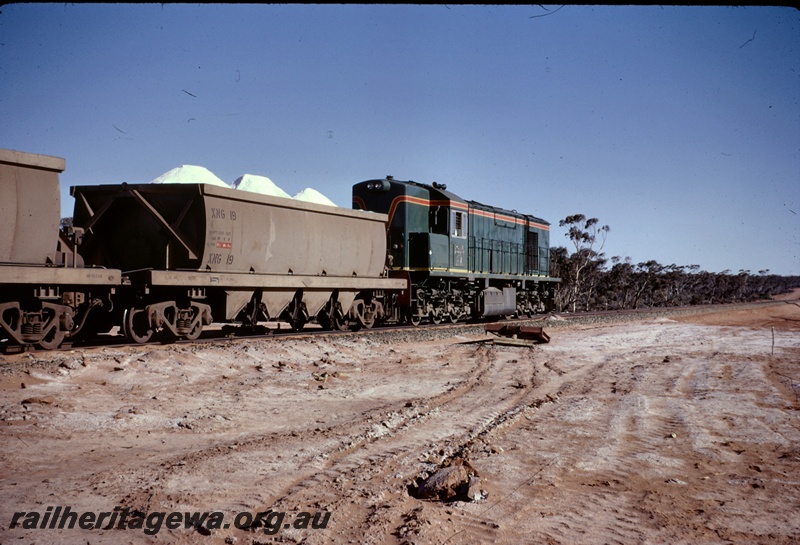 T04950
RA class 1915, on train loading salt including XNG class wagon 19, Lake Lefroy, CE line
