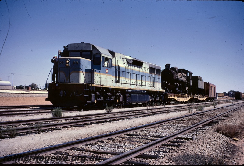 T04970
L class 258 in light blue and dark blue livery with yellow stripe, on freighter No 1121 with PMR class 729 on transporter wagon, West Merredin, EGR line
