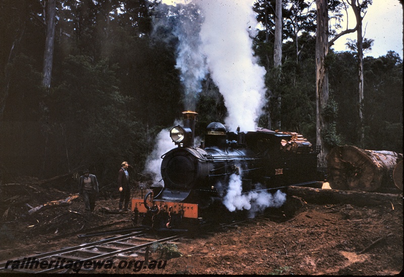 T04978
SSM loco No 1, workers, felled timber, forest, Pemberton, front and side view
