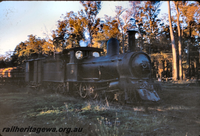 T04987
Millars loco No 69, wagon loaded with timber, van, side and front view, Palgarup 
