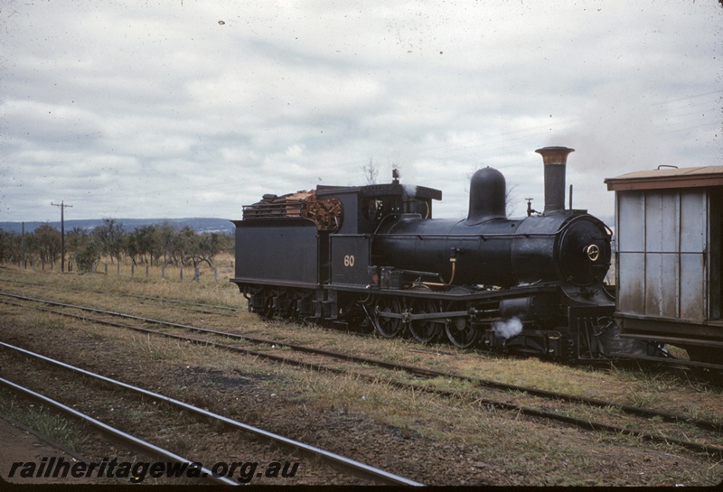 T04988
Millars loco No 60, van largely obscured, Wokalup, side and front view
