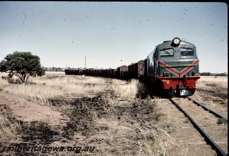 T04991
X class 1025, on No 73 goods train, near Mollerin, KBR line, side and front view
