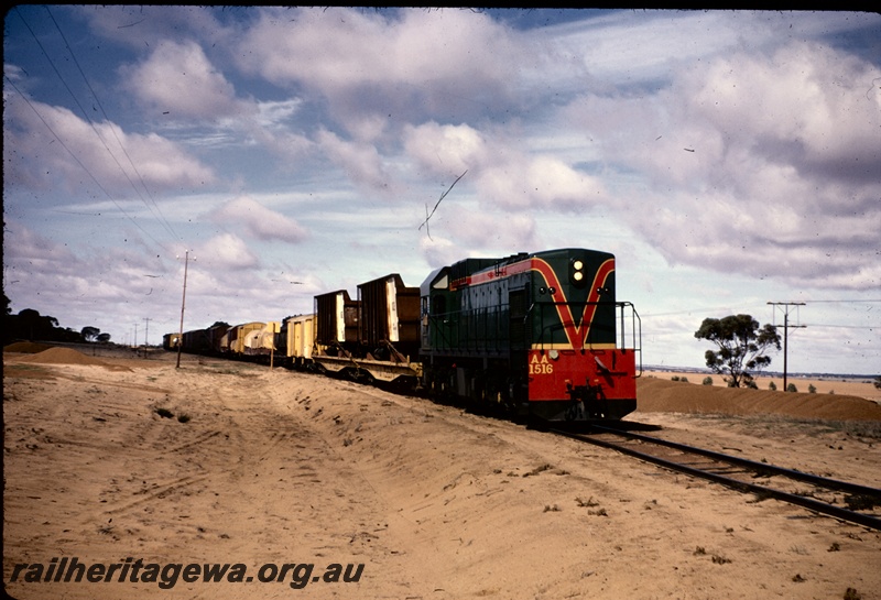 T04994
AA class 1516, on No 29 goods train, between Ballidu and Damboring, EM line
