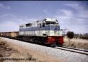 Filename=T4969.jpg
Filesize=221KiB
Dimensions=800x571
Date added=Apr 05, 2019 T4969.jpg