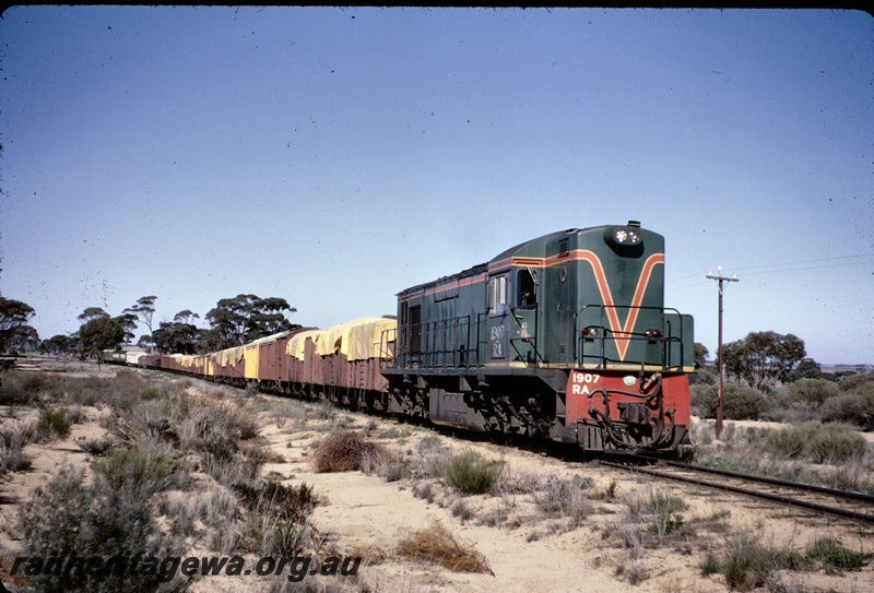 T05005
RA class 1907 on No 20 goods train, between West Merredin and Nokaning, GM line
