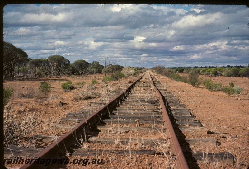 T05017
Buckled rails, east of Pindar, NR line
