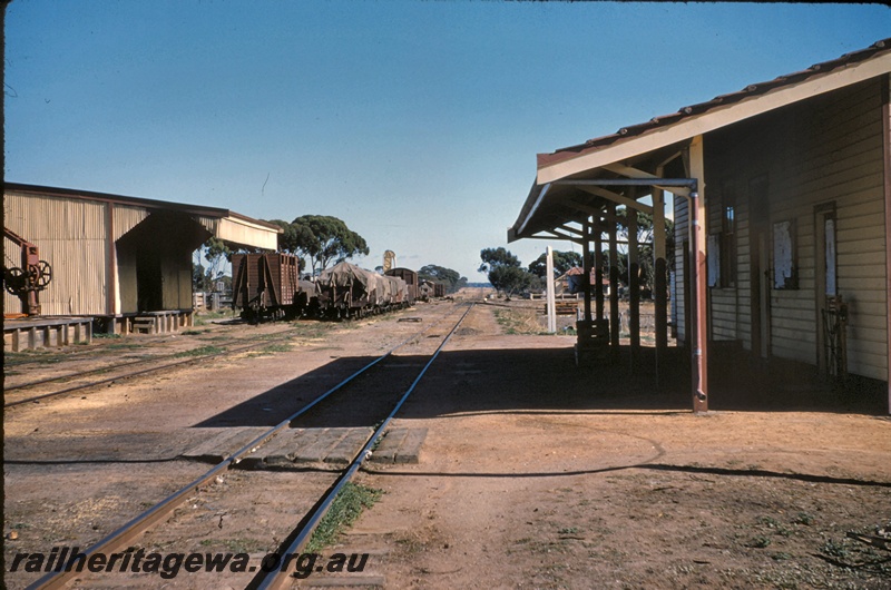 T05112
Station yard, crane, goods shed, rake of wagons, station building, scales, house, Newdegate, WLG line, view towards Lake Grace
