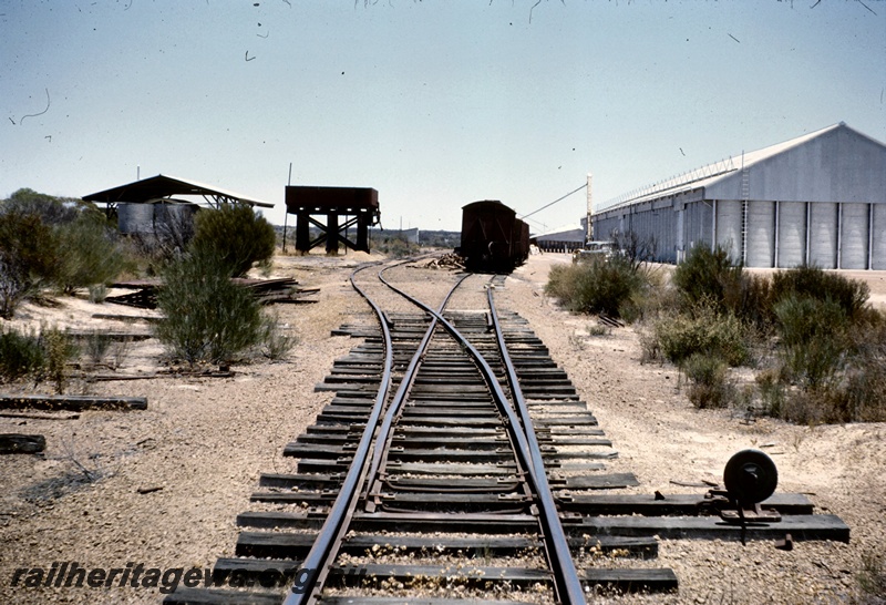 T05136
Siding, points, rake of wagons, barracks with water tanks, water tower, B class wheat bin, Bonnie Rock, KBR line
