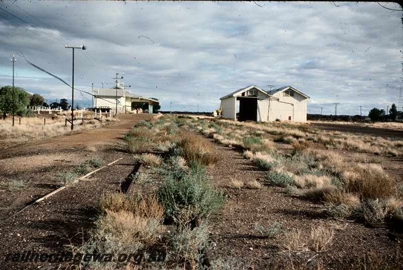 T05153
Station and yard, platform, station building, goods shed, Mount Magnet, NR line, one year after closure
