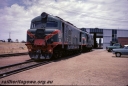T05101.jpg