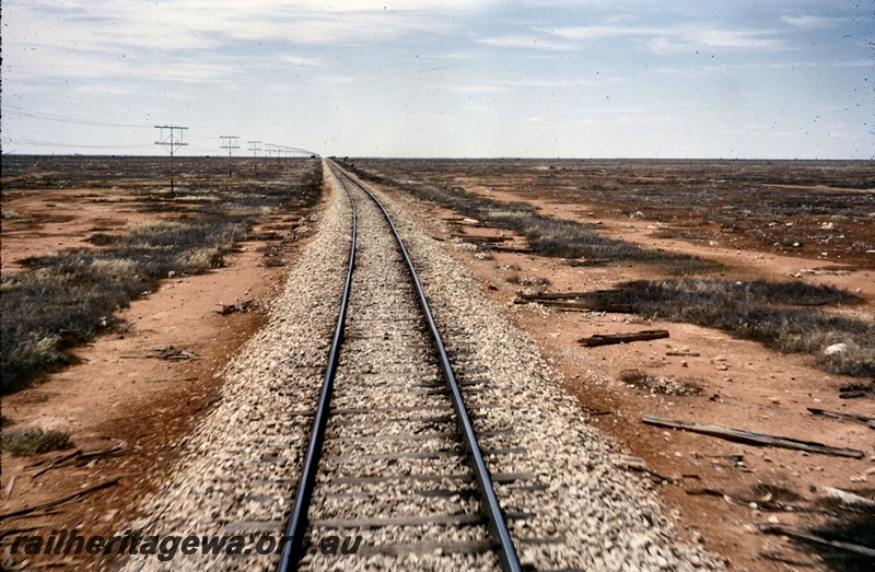 T05236
Track, western end of the long straight, near Nurina, TAR line
