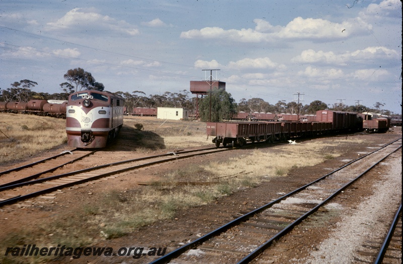 T05237
Commonwealth Railways (CR) GM12 class 20, Commonwealth Railways (CR) GE class 631 wagon, rake of tank wagons, water tower, various wagons and vans, sidings, yard, Zanthus, TAR line
