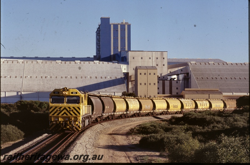 T05284
Westrail Q class 315 diesel loco in the yellow livery with black chevrons on the nose hauling a grain train of WW class and WWA class grain hoppers at the CBH Kwinana terminal, view along the train.
