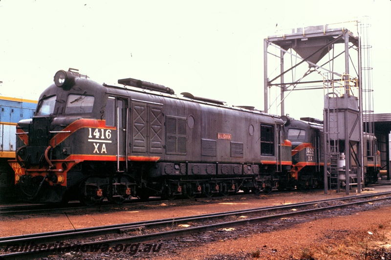 T05307
XA class 1416, XA class 1402, on shed, Merredin, EGR line, end and side views
