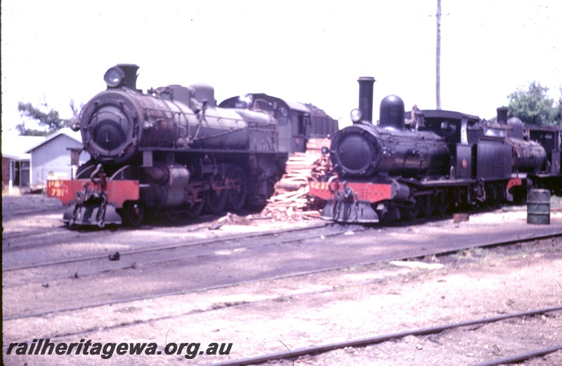 T05313
PMR class 731, G class 233, G class 123, timber pile, at loco shed, Bunbury, SWR line, front and side views
