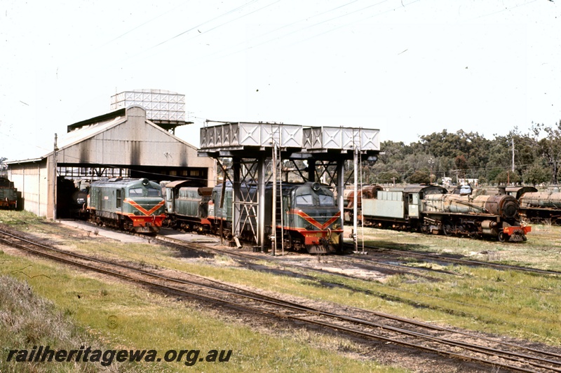 T05319
X class 1002, X class 1023, PM class 710, other locos, shed, overhead fuel tanks loco depot, Collie, BN line, side and end views 
