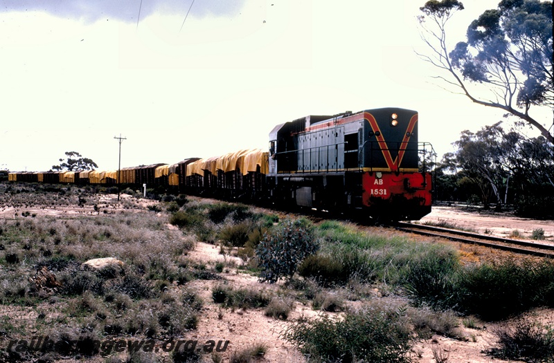 T05348
AB class 1531, on goods train, approaching Merredin, NWM line, side and front view
