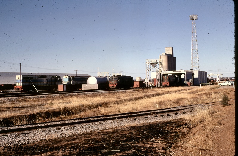 T05352
Yard and loco depot, various diesel locos, fuel tanks, silos, light tower, sheds, West Merredin, EGR line, track level view

