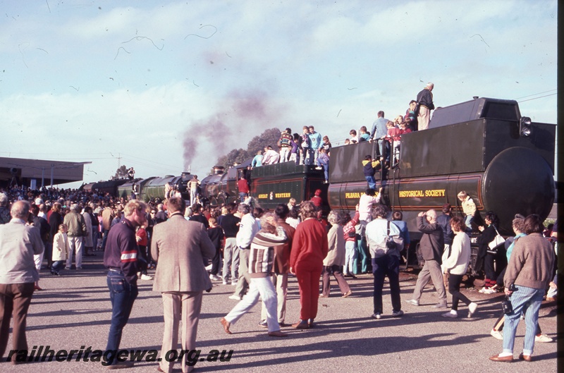 T05376
Ex-LNER steam loco 