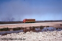 T05361.jpg