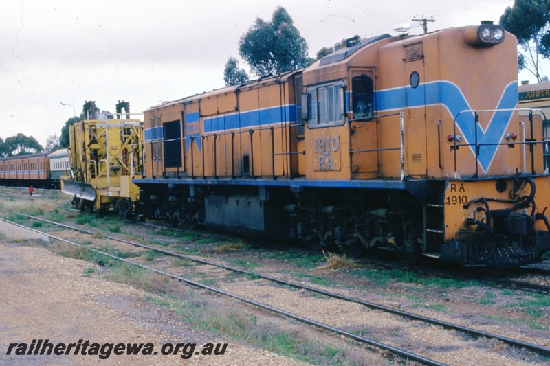 T05493
RA class 1910 Westrail orange /blue livery. Atached to the 