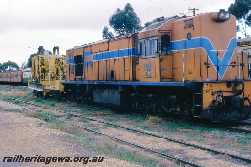 T05493
RA class 1910 Westrail orange /blue livery. 
