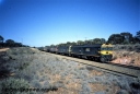 Filename=T05429.jpg
Filesize=229KiB
Dimensions=800x543
Date added=Aug 16, 2023 T05429.jpg