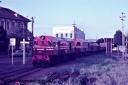 Filename=T05440.jpg
Filesize=206KiB
Dimensions=800x535
Date added=Aug 16, 2023 T05440.jpg