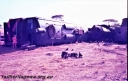 Filename=T05474.jpg
Filesize=240KiB
Dimensions=800x508
Date added=Aug 16, 2023 T05474.jpg