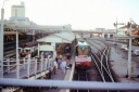 Filename=T05491.jpg
Filesize=177KiB
Dimensions=800x533
Date added=Aug 16, 2023 T05491.jpg