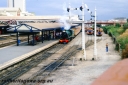 Filename=T05497.jpg
Filesize=230KiB
Dimensions=800x533
Date added=Aug 16, 2023 T05497.jpg