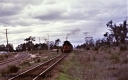 Filename=T05560.jpg
Filesize=209KiB
Dimensions=800x506
Date added=Aug 16, 2023 T05560.jpg