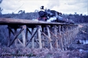 Filename=T05595.jpg
Filesize=237KiB
Dimensions=800x532
Date added=Aug 16, 2023 T05595.jpg