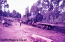 Filename=T05601.jpg
Filesize=407KiB
Dimensions=800x531
Date added=May 07, 2024 T05601.jpg