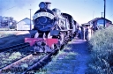 T05621.jpg