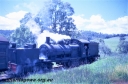 T05624.jpg