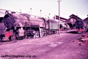 T05629.jpg