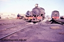 T05631.jpg