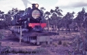 T05632.jpg